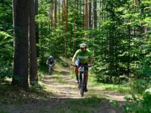 Desperte Seu Metabolismo Hábitos Simples que Transformam o Corpo e a Energia